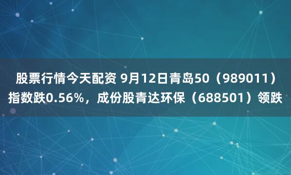 股票行情今天配资 9月12日青岛50（989011）指数跌0.56%，成份股青达环保（688501）领跌